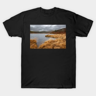 Llyn Barfog (The Bearded Lake), Snowdonia T-Shirt